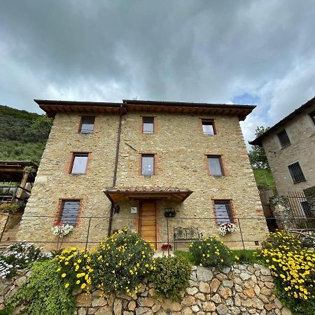 B&B Il Volo Camaiore Zewnętrze zdjęcie