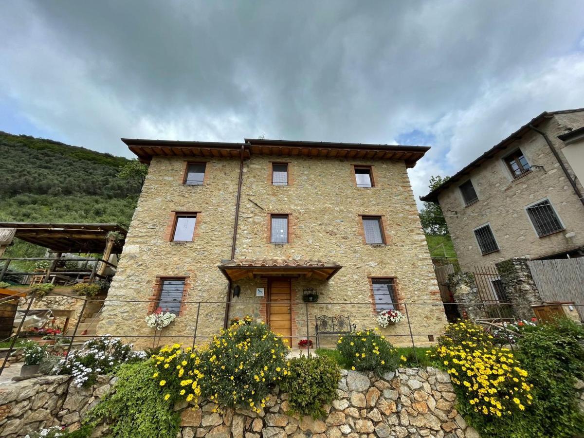 B&B Il Volo Camaiore Zewnętrze zdjęcie