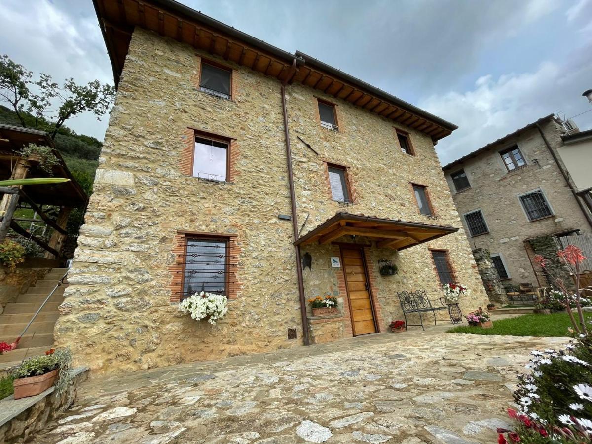 B&B Il Volo Camaiore Zewnętrze zdjęcie