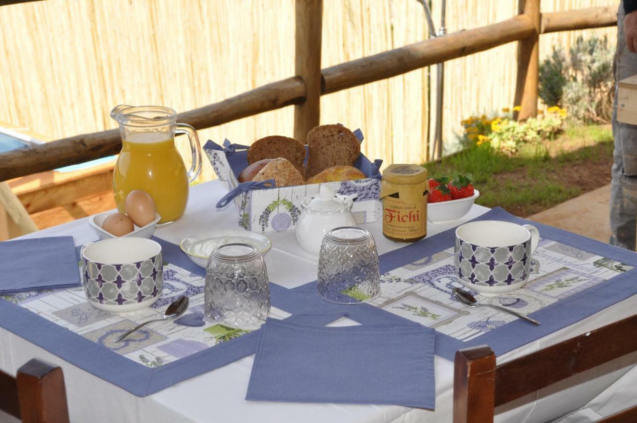 B&B Il Volo Camaiore Zewnętrze zdjęcie