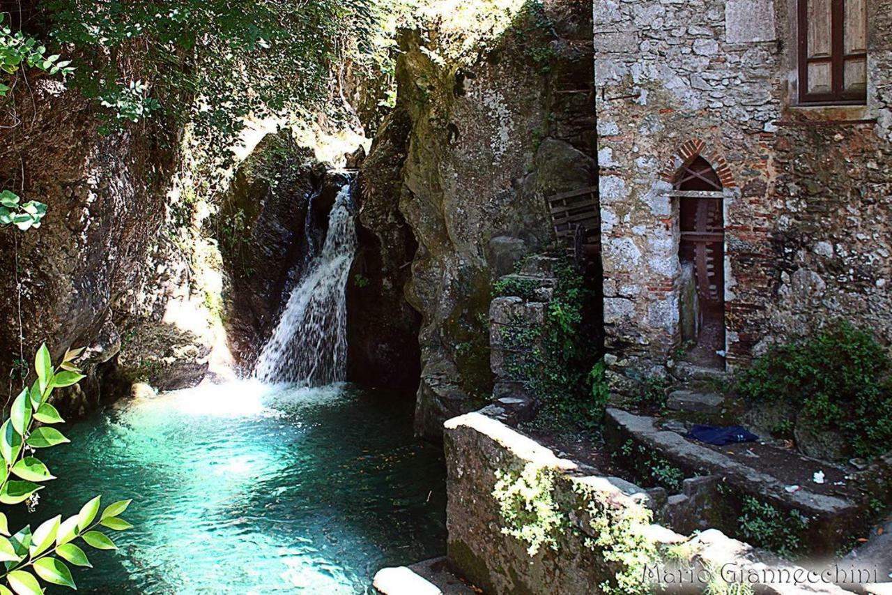B&B Il Volo Camaiore Zewnętrze zdjęcie