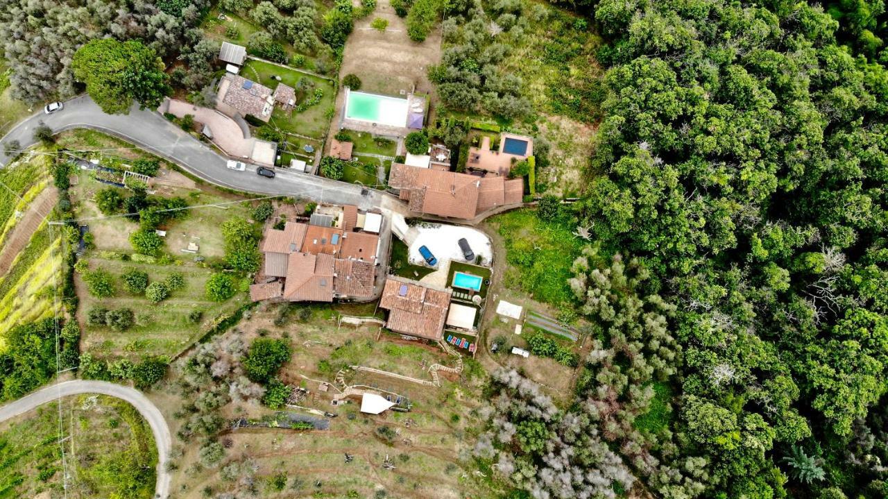 B&B Il Volo Camaiore Zewnętrze zdjęcie